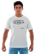 Playera